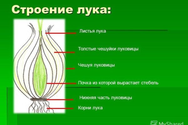 Сайт мега через впн